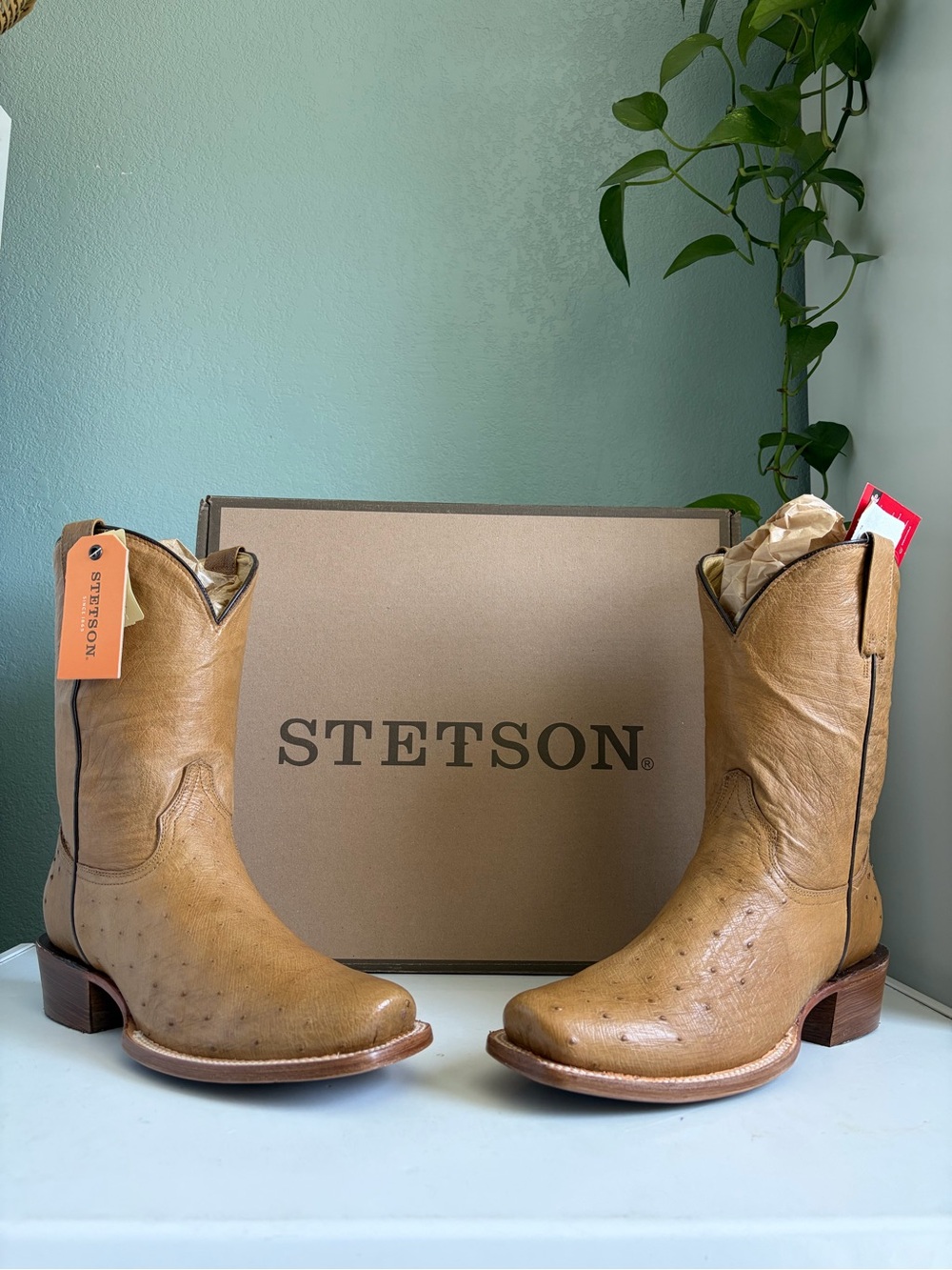 Stetson Exotic Ostrich Cowboy Boots 10.5 D Cutter Toe